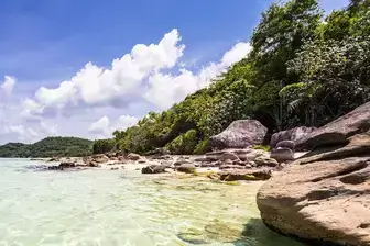 Holiday Packages